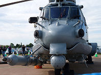Fairford 2009 photo No.39