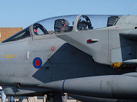 Waddington 2009 photo No.15