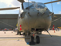 Waddington 2009 photo No.40