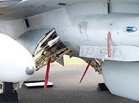Waddington 2009 photo No.58