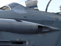 Waddington 2009 photo No.60