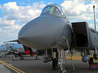 Waddington 2009 photo No.64