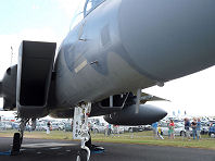 Waddington 2009 photo No.65