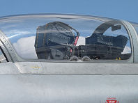Waddington 2009 photo No.68