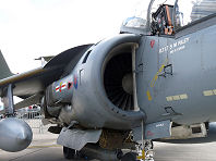 Waddington 2009 photo No.72