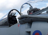 Waddington 2009 photo No.74