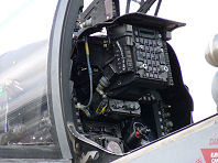 Waddington 2009 photo No.77