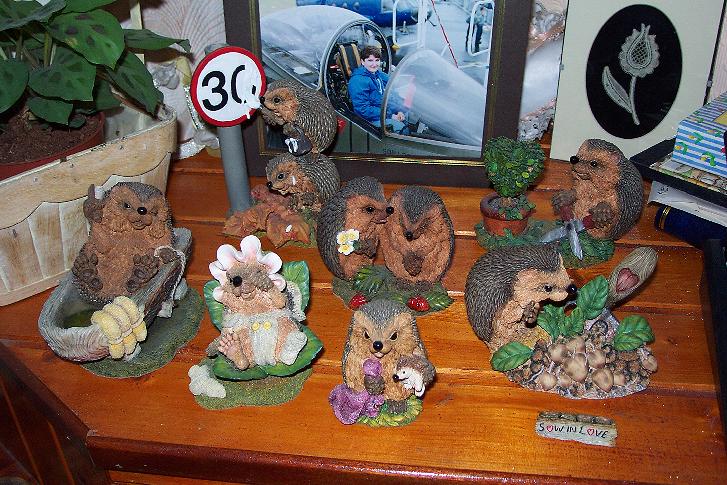 Hedgie collection